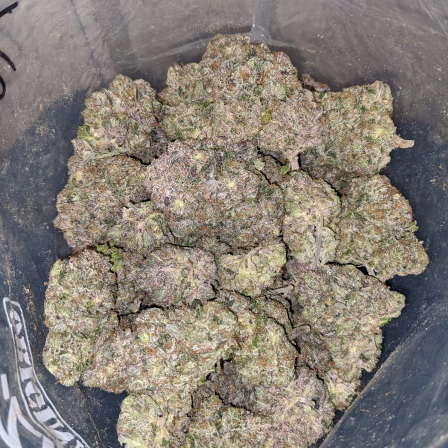 TUNA KUSH 1 I Khalifa Kush #2