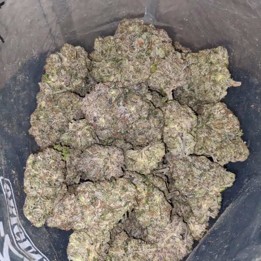 Khalifa Kush #2
