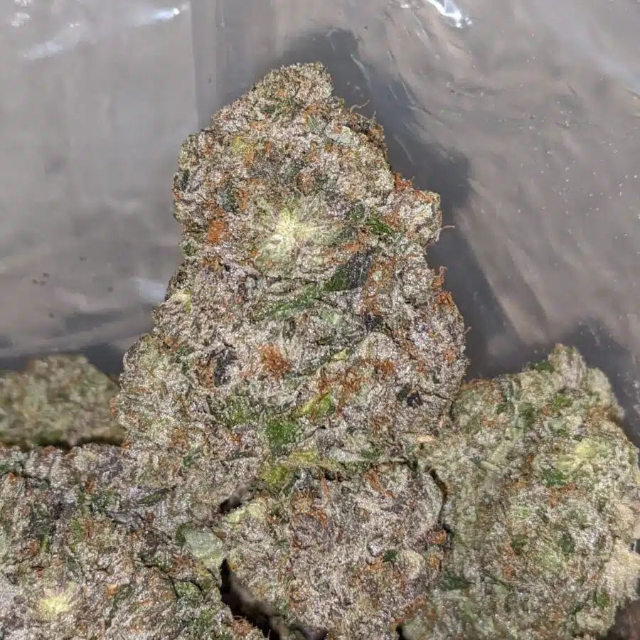 Alternative view of Khalifa Kush #2