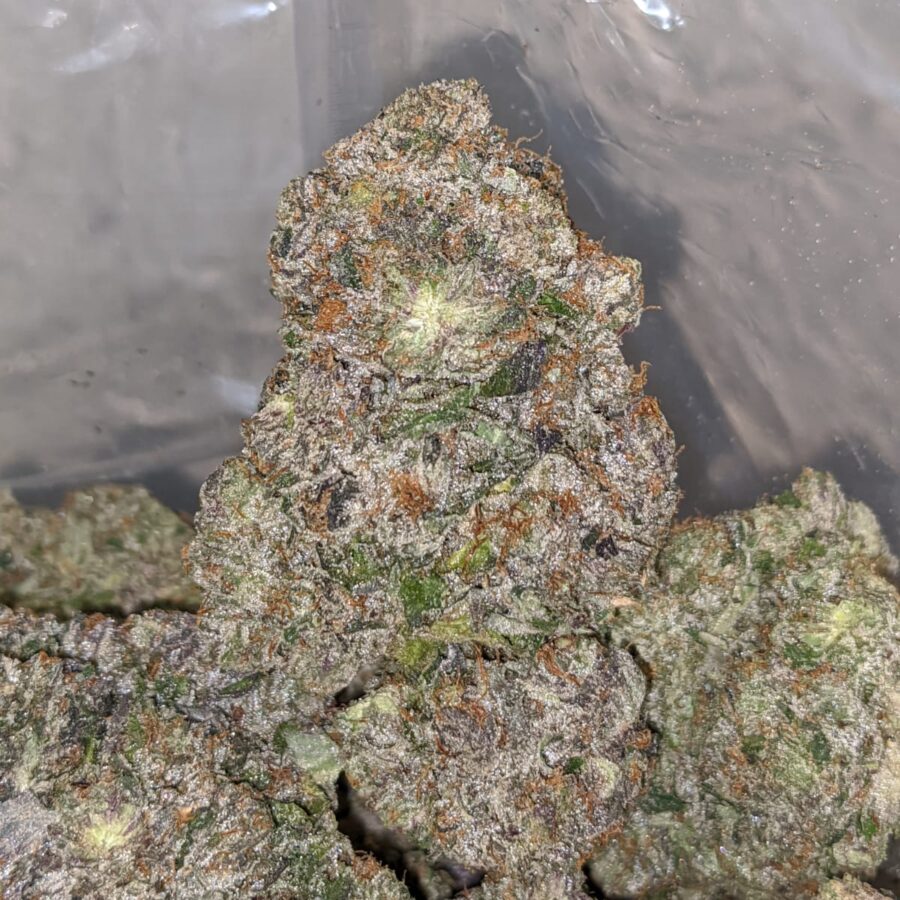 TUNA KUSH 4 I Khalifa Kush #2