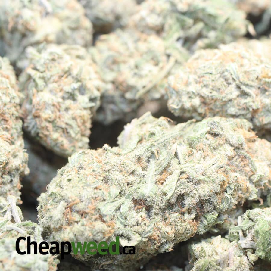 White Cookies - Image 3