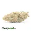 White Cookies