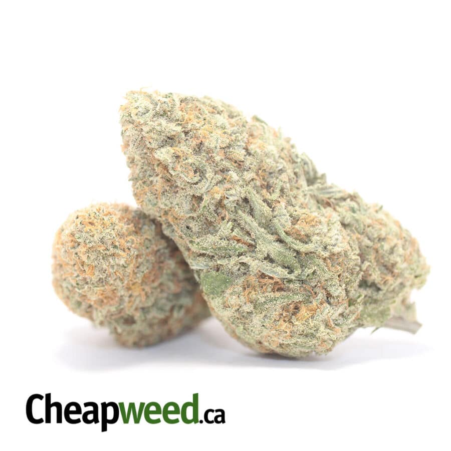 White Cookies - Image 2