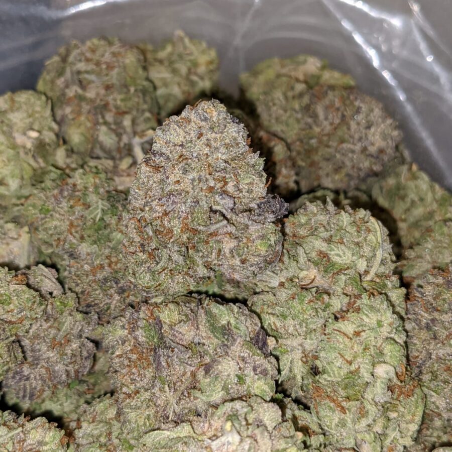 WhatsApp Image 2022 12 26 at 1.13.34 PM 1 I Tony's Purple Hindu Kush