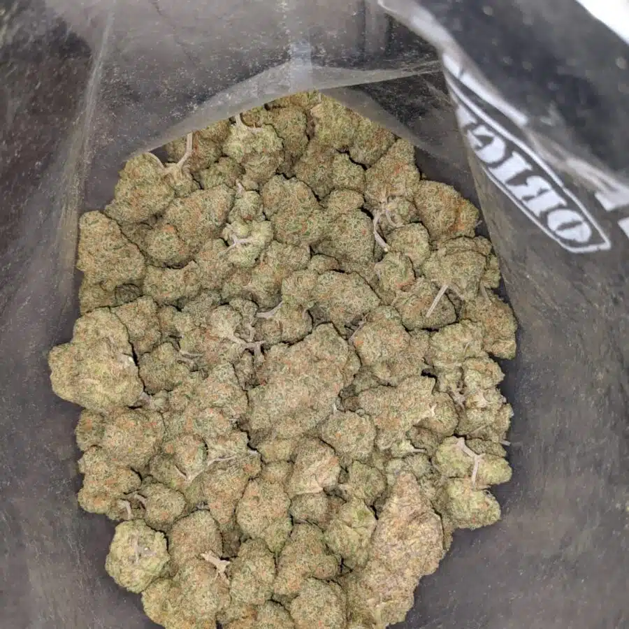 WhatsApp Image 2022 12 26 at 1.15.16 PM 1 I Zombie Kush
