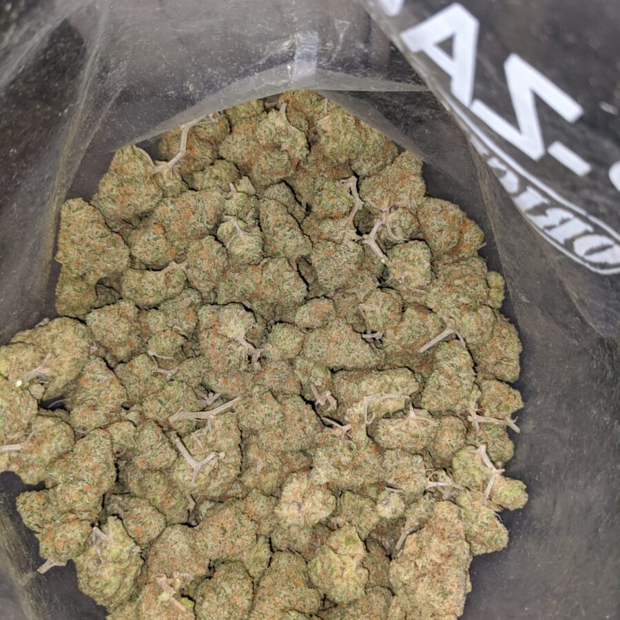 WhatsApp Image 2022 12 26 at 1.15.16 PM I Zombie Kush