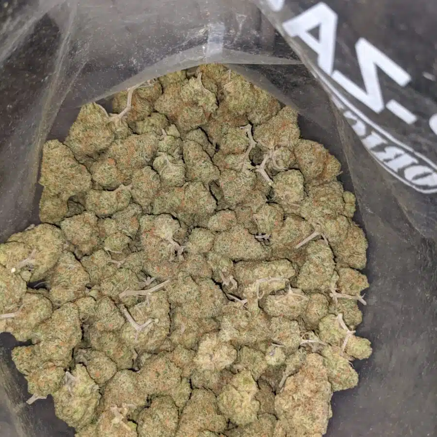 WhatsApp Image 2022 12 26 at 1.15.16 PM I Zombie Kush