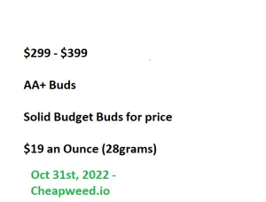 aa 2022 I October 31st, 2022 - $300-$400 - AA+ (Budget Buds)