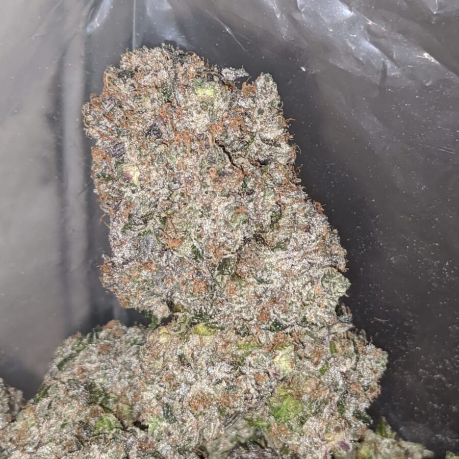 black gas 1 I Black Gas 29.23% THC
