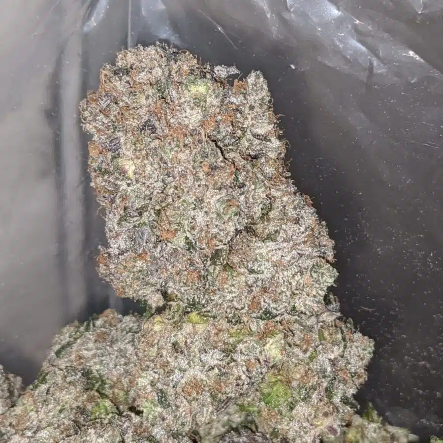 black gas 1 I Black Gas 29.23% THC