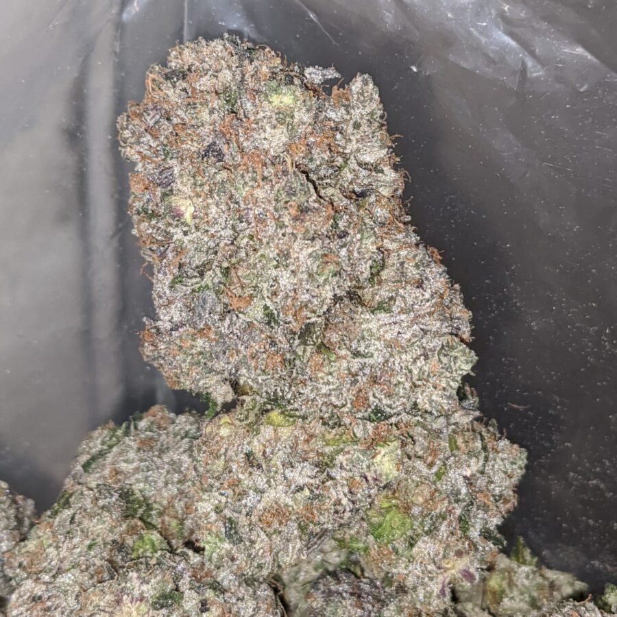 black gas 2 I Black Gas 29.23% THC