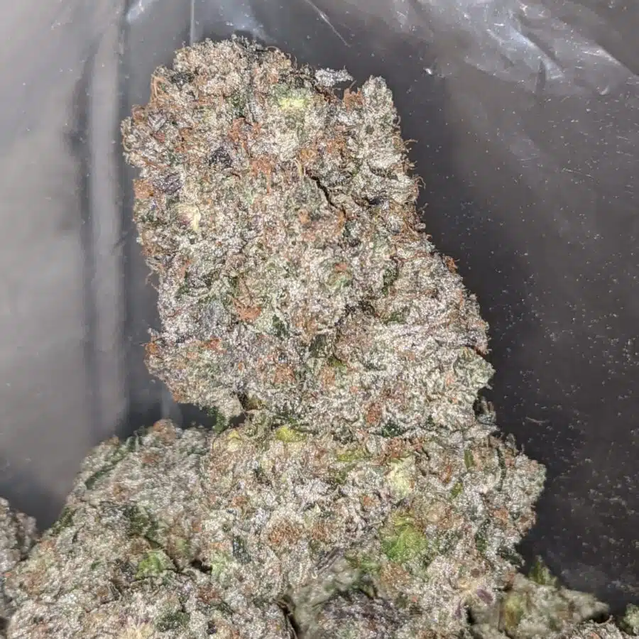 black gas 2 I Black Gas 29.23% THC