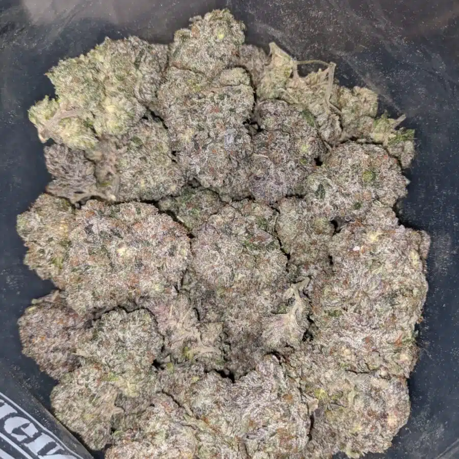 black gas 3 I Black Gas 29.23% THC