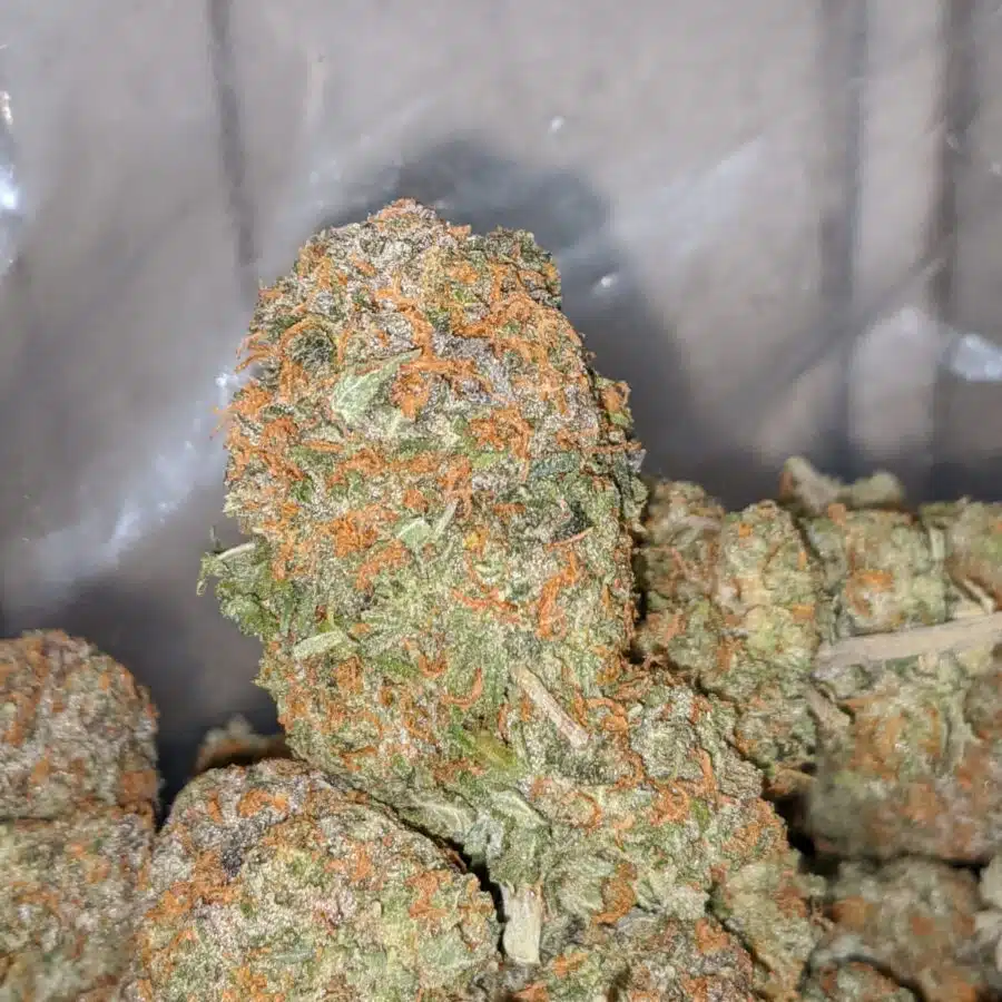 california dream 1 I $65 Oz - California Dream