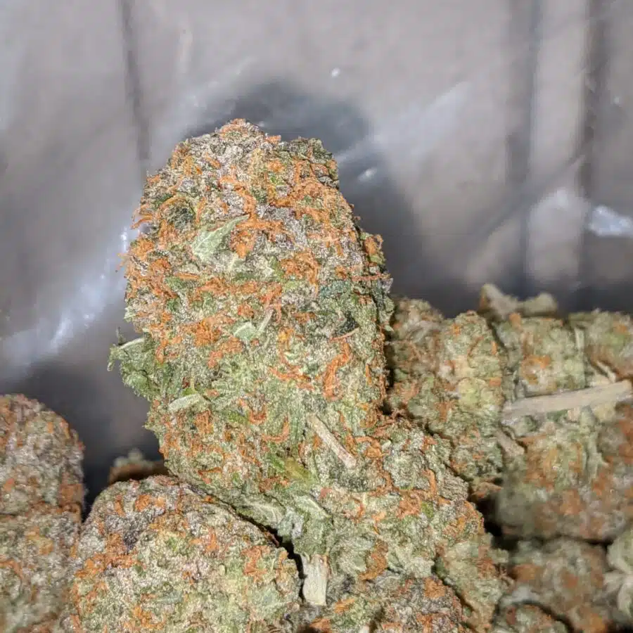 california dream 2 I $65 Oz - California Dream