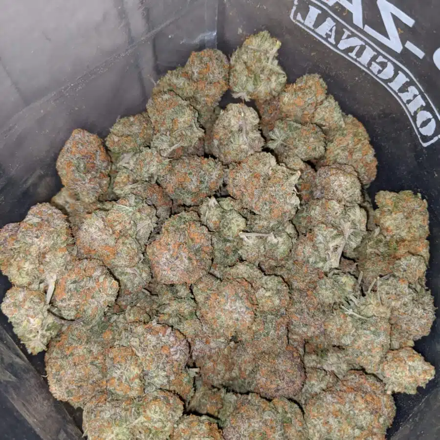 california dream 3 I $65 Oz - California Dream