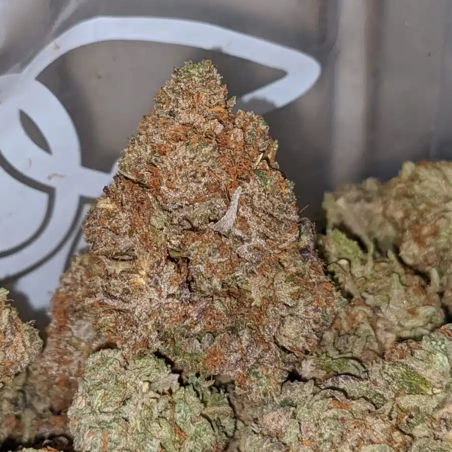 emmas BUBBA KUSH 2 I Emma's Bubba Kush