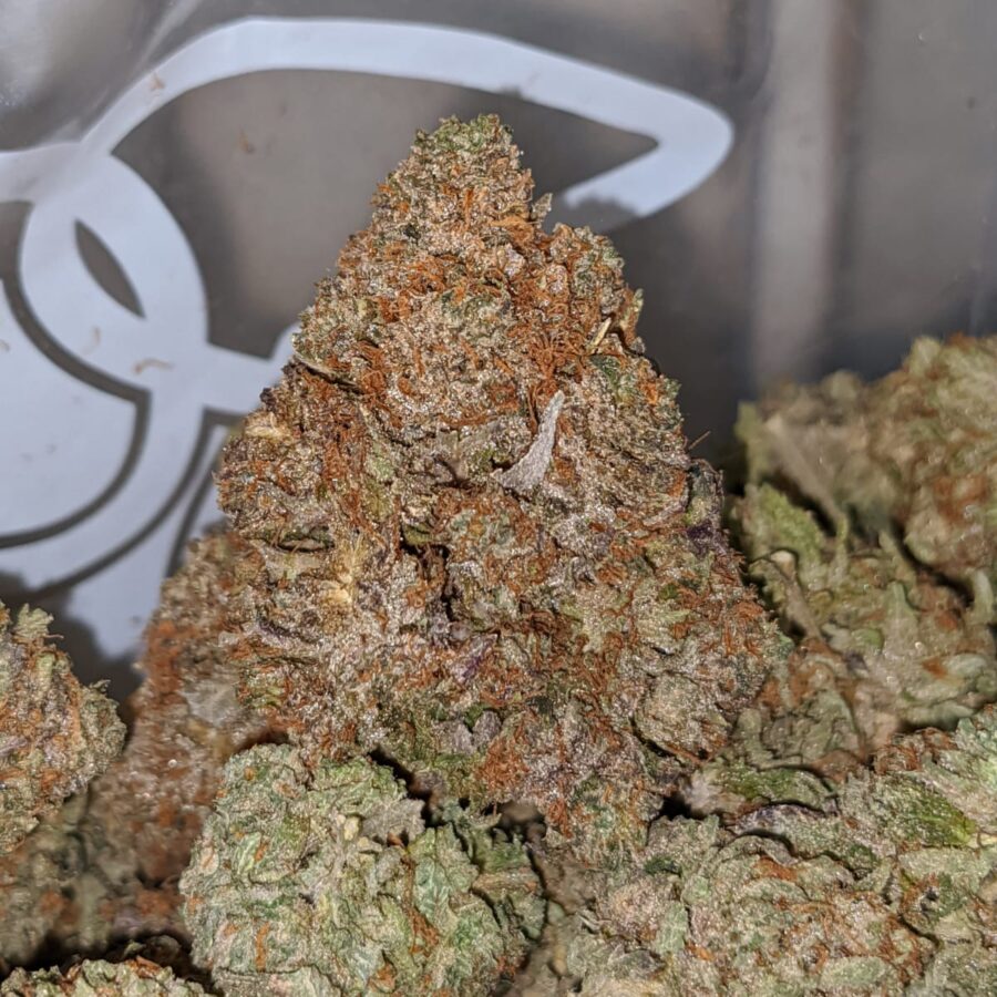 emmas BUBBA KUSH 3 I Emma's Bubba Kush