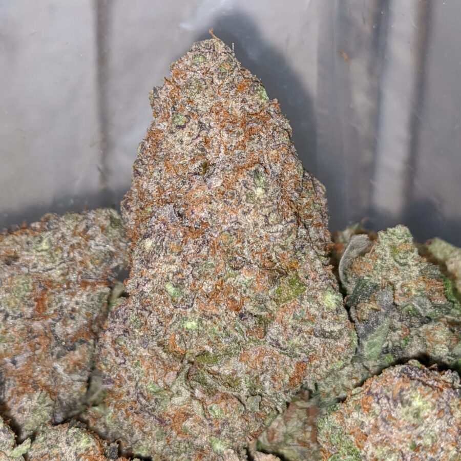 Forbidden Fruit AAA - Image 4