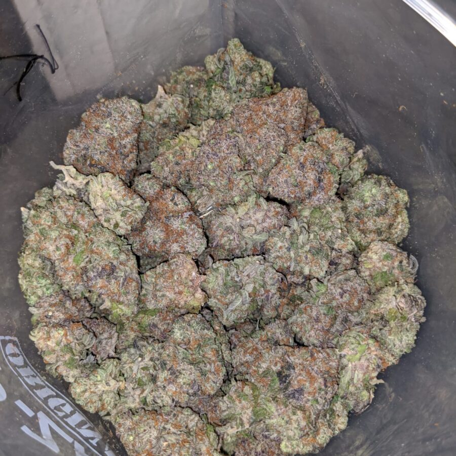 Forbidden Fruit AAA - Image 7