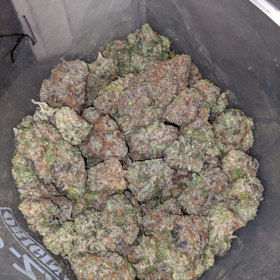 Forbidden Fruit AAA - Image 6