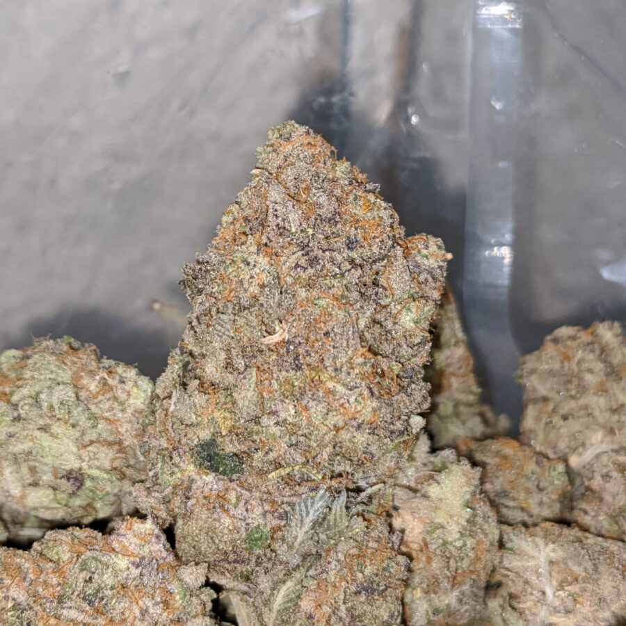 fruit pop 2 I Fruit Pop