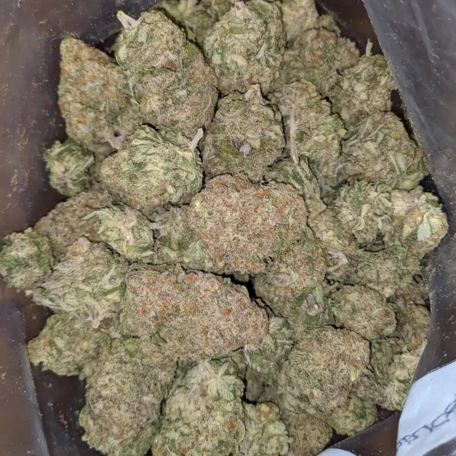 green nuken 2 I Green Nuken #2
