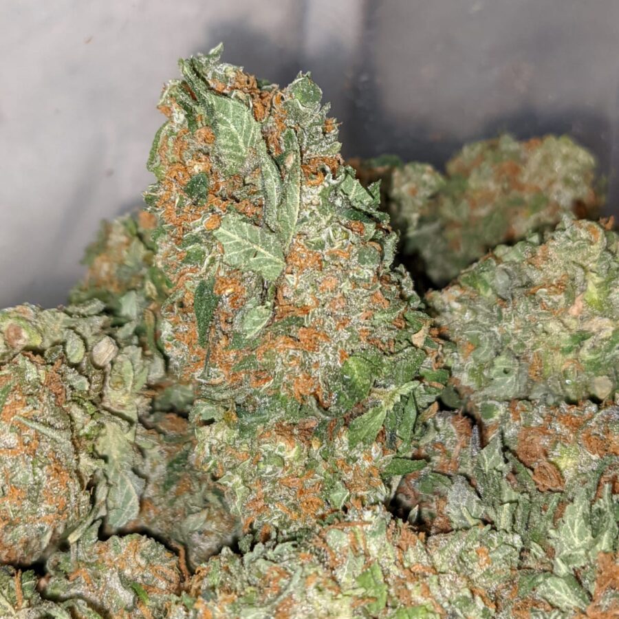 Kosher Kush - Image 6