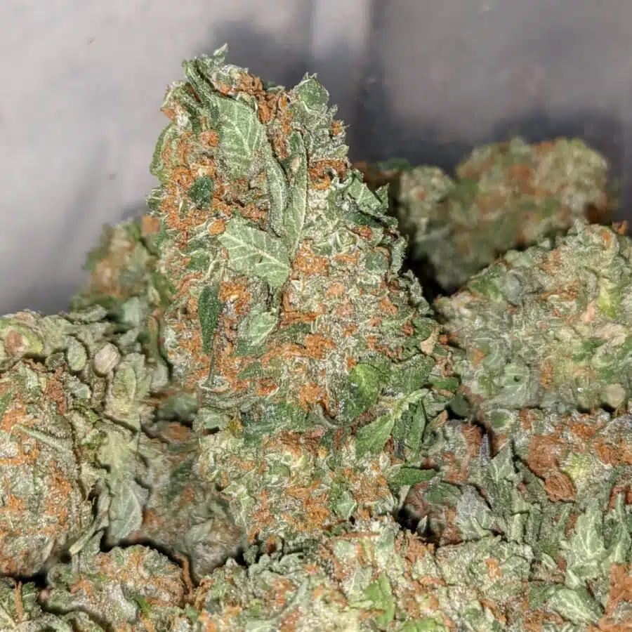 kosher kush 1 I Kosher Kush