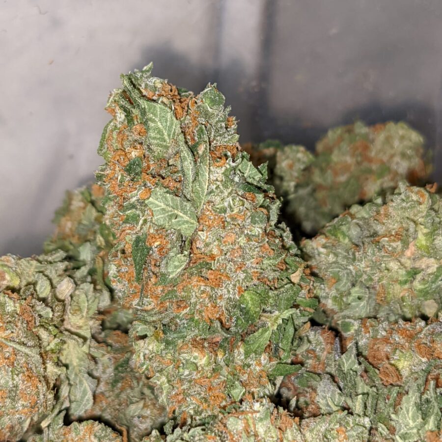 Kosher Kush - Image 5
