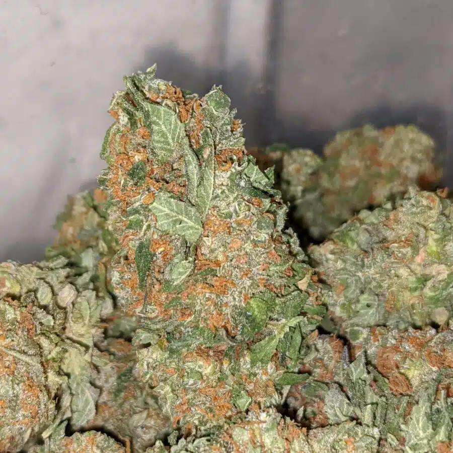 kosher kush 2 I Kosher Kush