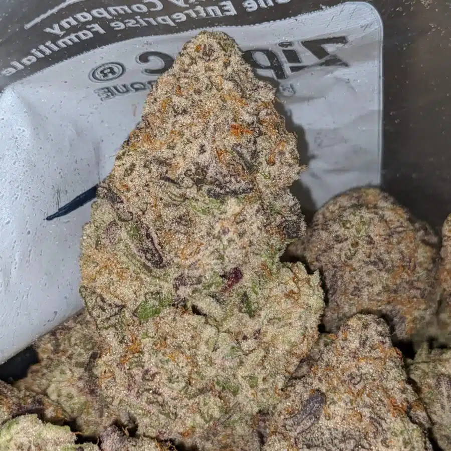 monster cookies 1 I Monster Cookies
