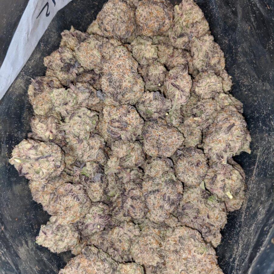 monster cookies 3 I Monster Cookies
