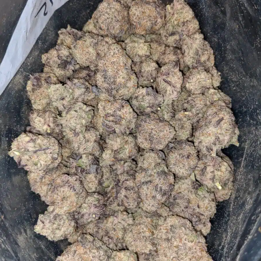 monster cookies 3 I Monster Cookies