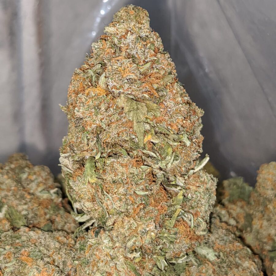 orange diesel 1 I Orange Diesel