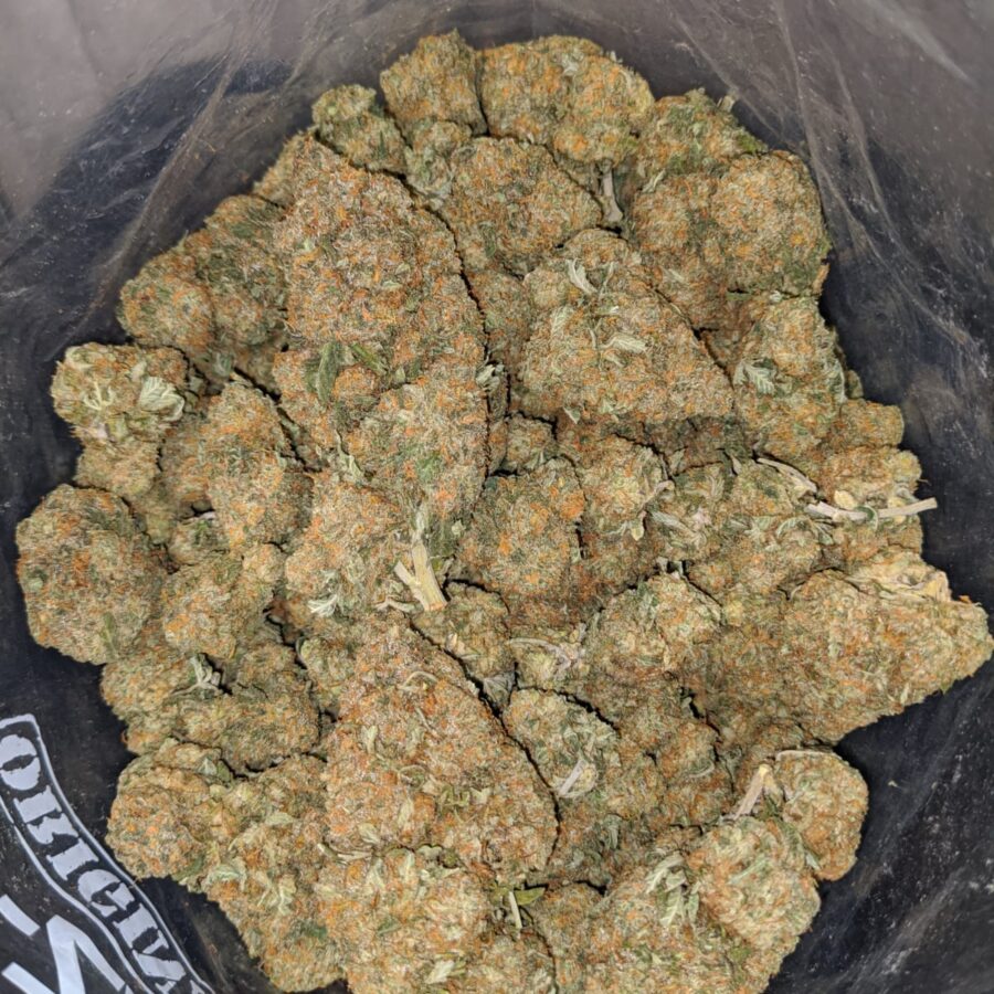 orange diesel 3 I Orange Diesel