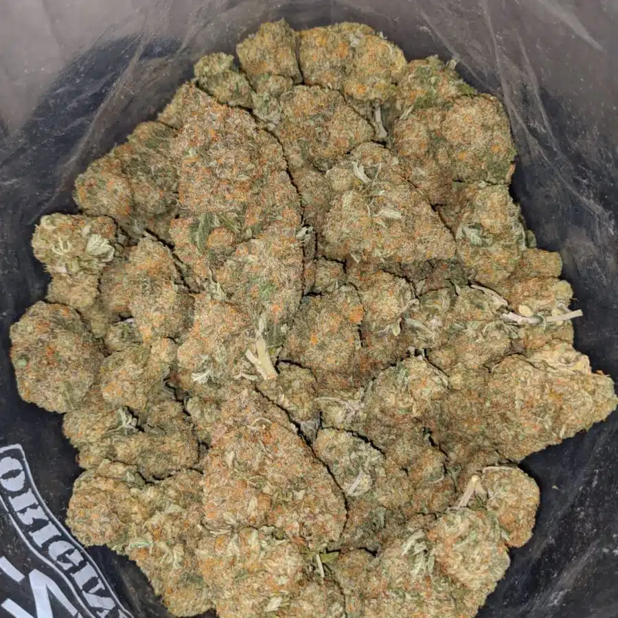 orange diesel 3 I Orange Diesel