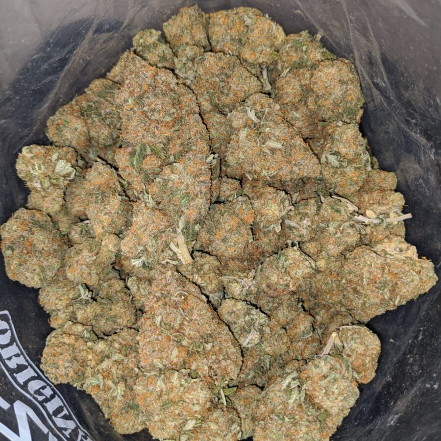 orange diesel 4 I Orange Diesel
