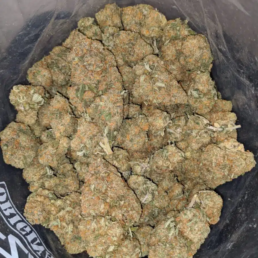 orange diesel 4 I Orange Diesel