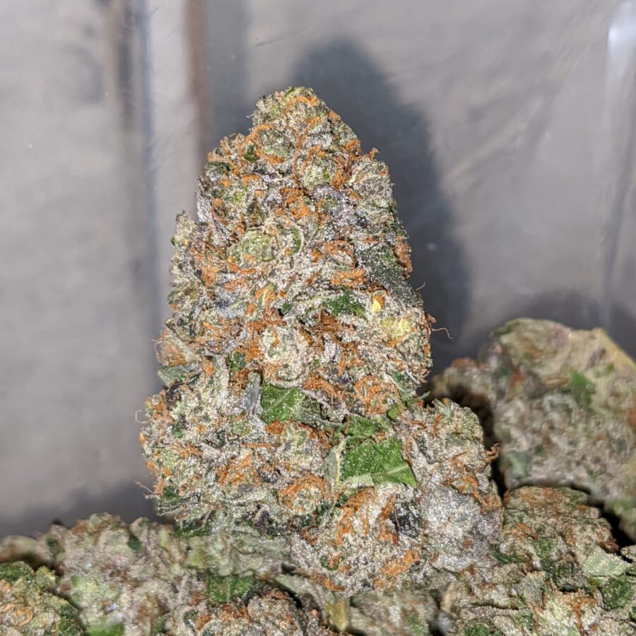 pink og wreck 1 I Pink OG Wreck