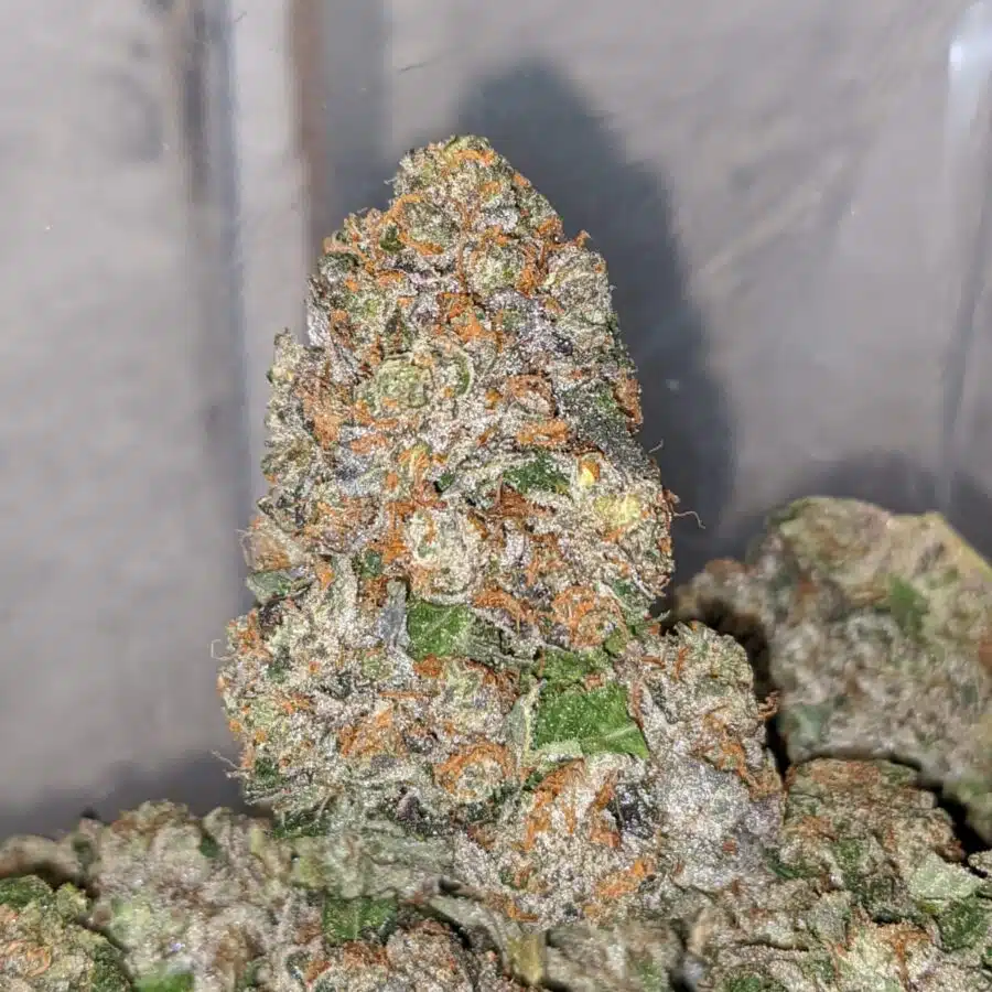 pink og wreck 1 I Pink OG Wreck