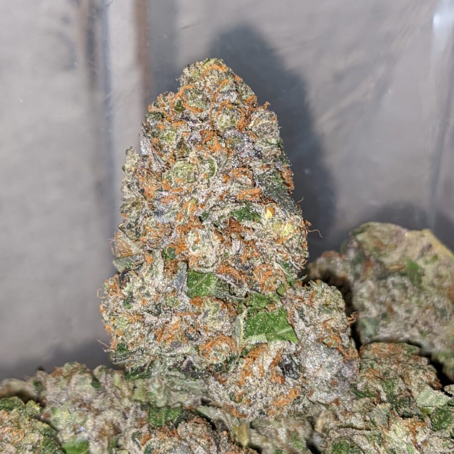 pink og wreck 2 I Pink OG Wreck