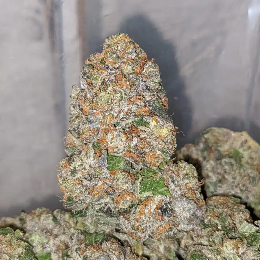 pink og wreck 2 I Pink OG Wreck