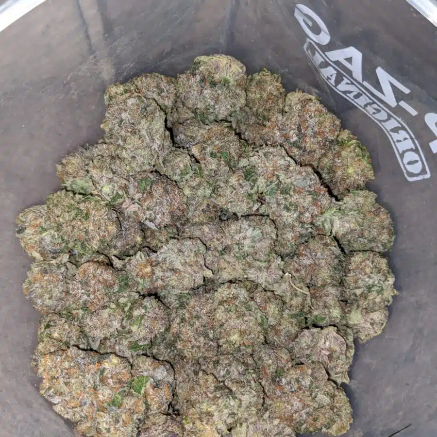 pink og wreck 3 I Pink OG Wreck