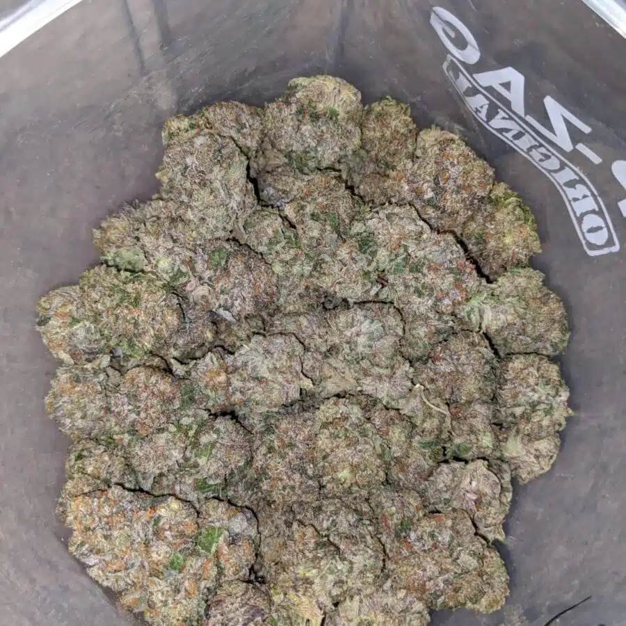 pink og wreck 4 I Pink OG Wreck