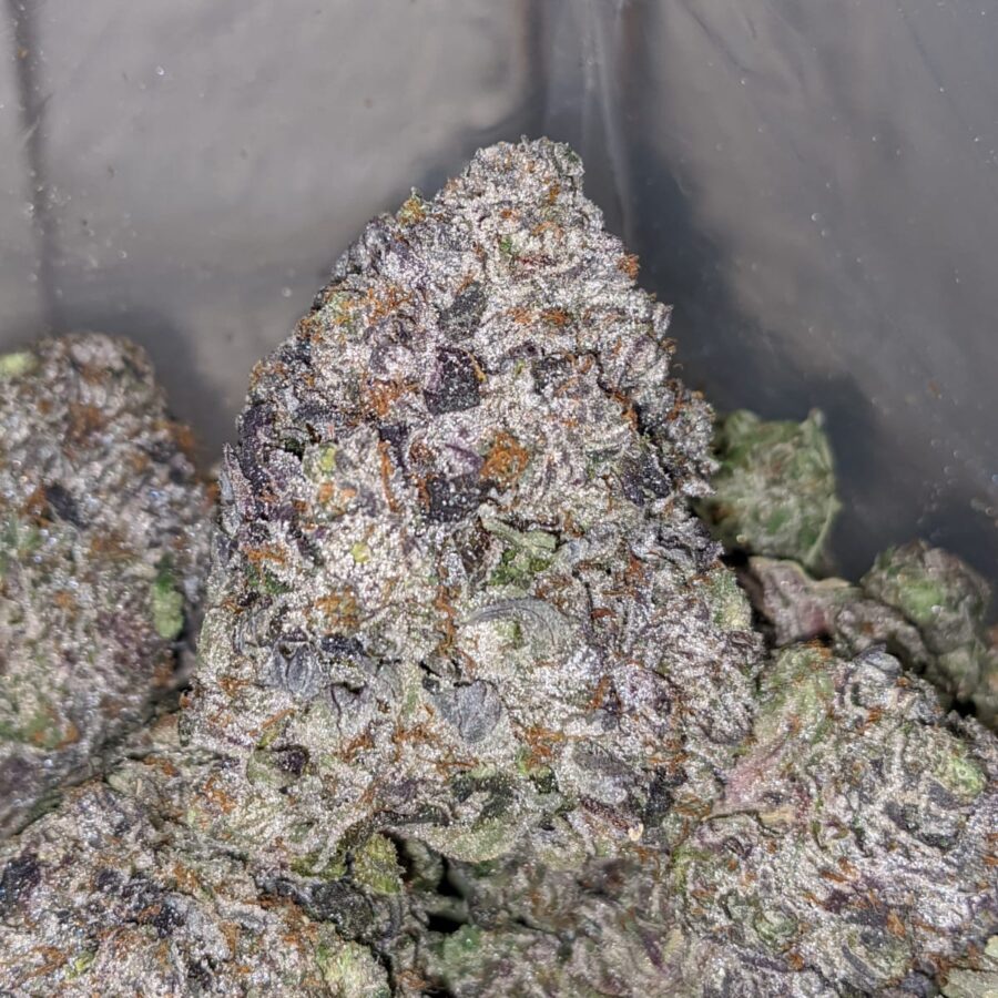 purple rockstar aaaa 1 I Purple Rockstar AAAA+