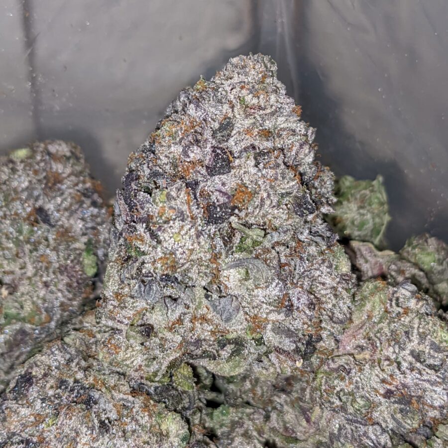 purple rockstar aaaa 2 I Purple Rockstar AAAA+
