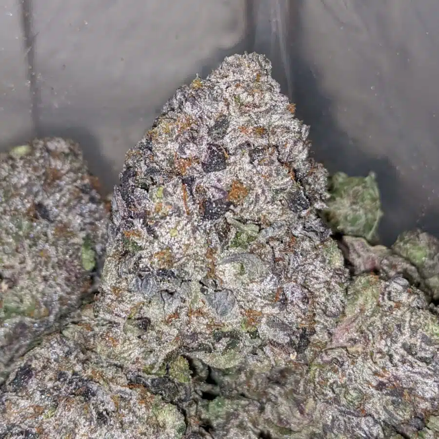purple rockstar aaaa 2 I Purple Rockstar AAAA+