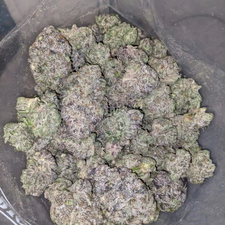 purple rockstar aaaa 3 I Purple Rockstar AAAA+