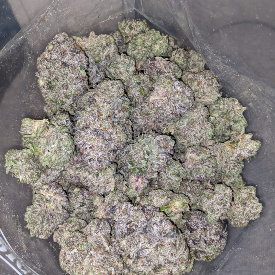 purple rockstar aaaa 4 I Purple Rockstar AAAA+